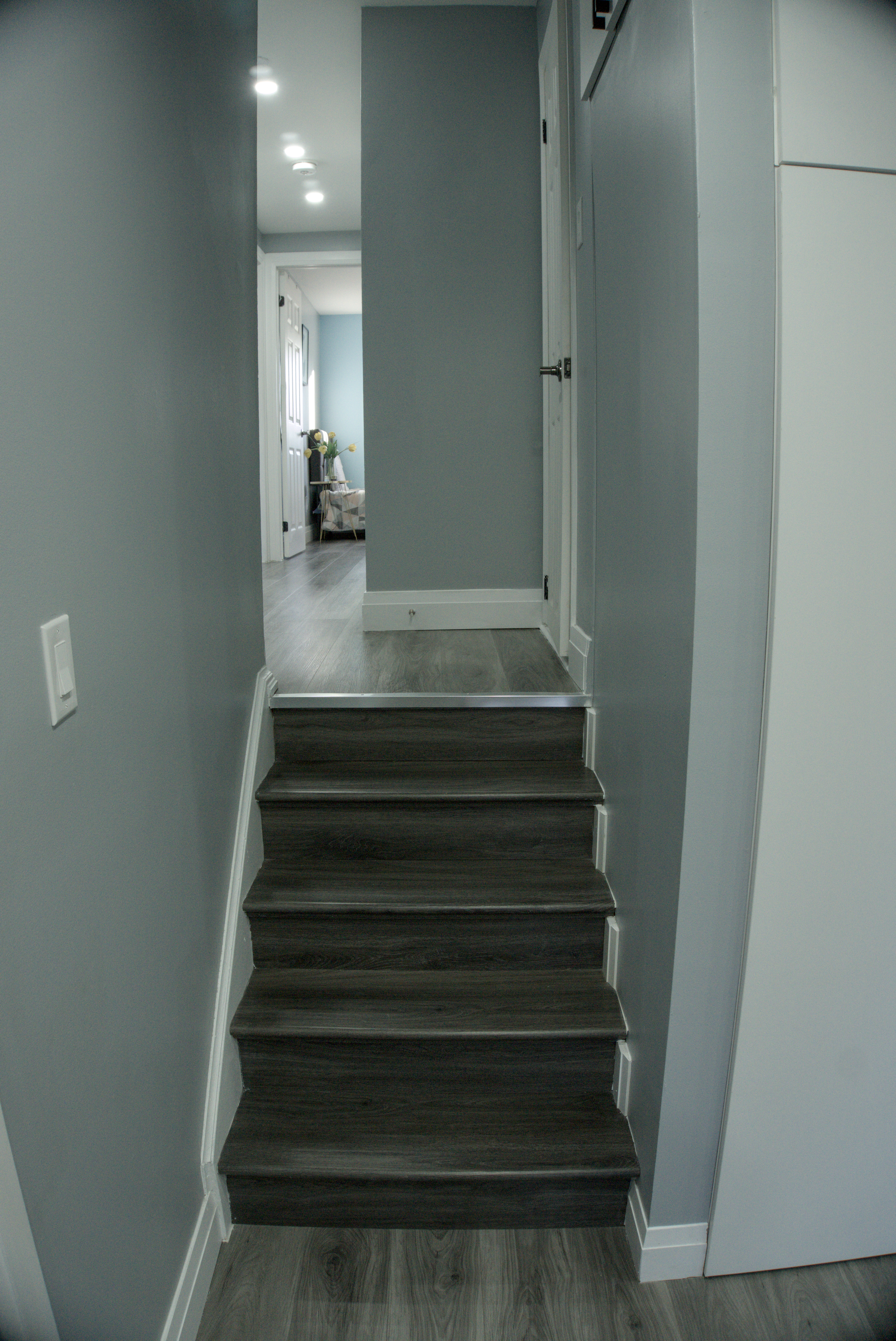 The Panghal's Renovation - View 6 After